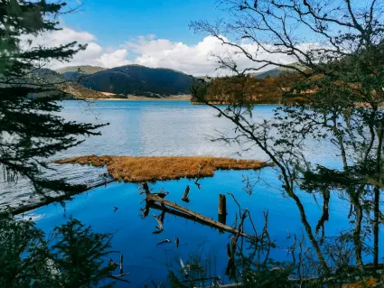 77spins Casino Mobile App